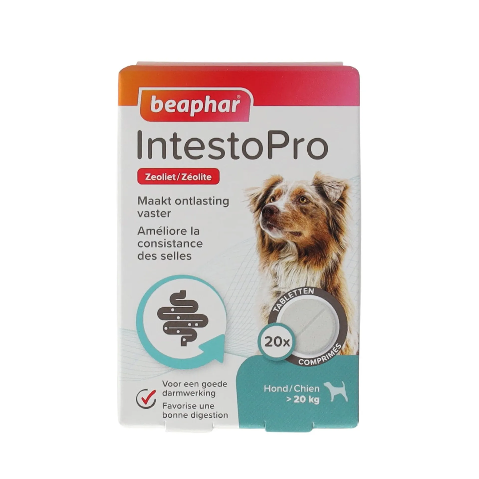 intestopro-hond-vanaf-20kg-igiQfKkq-0.webp New Beaphar Intestopro Hond Vanaf 20kg