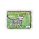 kattengras-jxhDlQFZ-0.webp