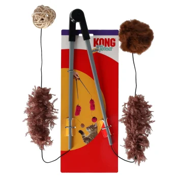 Best Kong Kattenspeeltje Hengel