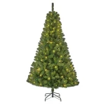 kerstboom-charlton-buiten-185-sGNBqrNp-0.webp