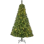 kerstboom-charlton-outdoor-215-FRMOVfNQ-0.webp