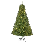 kerstboom-charlton-outdoor-240-xkfQnQWf-0.webp