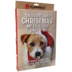 New Flamingo Kerstkalender Chick'n Snack Hond 24st.