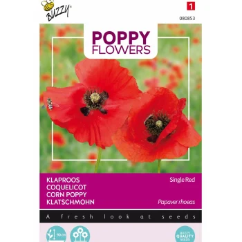 Sale Buzzy Klaproos Rhoeas Rood