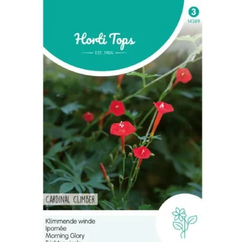 Clearance Horti Tops Klimmende Winde Cardinal Climber