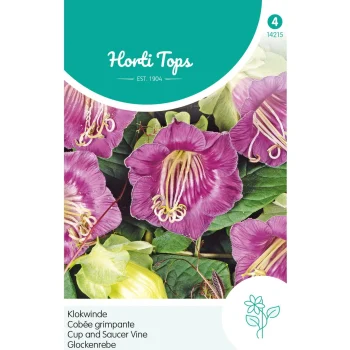 Clearance Horti Tops Klokwinde