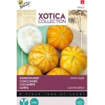 Sale Buzzy Komkommer Lemon Apple