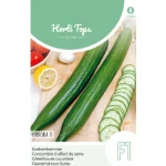 New Horti Tops Komkommers Laureen Vh Euphoria