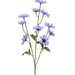korenbloem-lila-75-cm-EOMHNugF-0.webp
