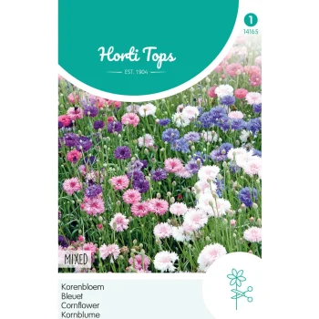 Hot Horti Tops Korenbloem Mix