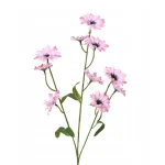 korenbloem-roze-55-cm-hTEcJMRE-0.webp