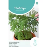 Sale Horti Tops Kruidje-roer-mij-niet