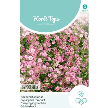 Online Horti Tops Kruipend Gipskruid Roze