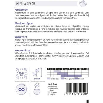 Outlet Horti Tops Kruizemunt Zaad