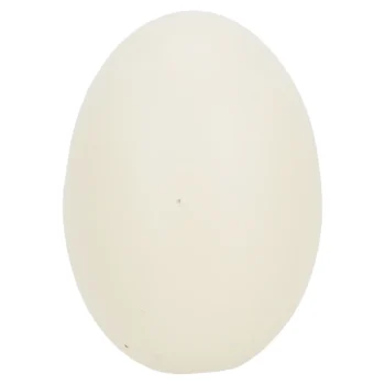 Fashion Friendly Pet Kunstei Terracotta Kip