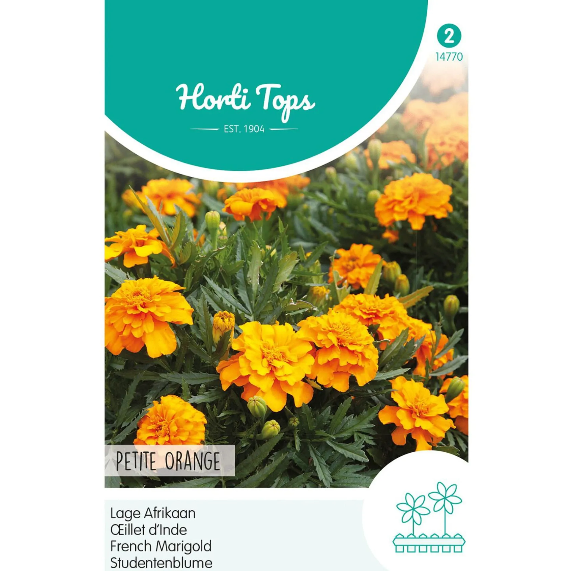lage-afrikaan-petite-harmony-xOKKkMzv-0.webp Discount Horti Tops Lage Afrikaan Petite Harmony