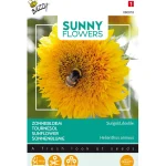 lage-zonnebloem-sungold-dubbel-pEWWKBdU-0.webp