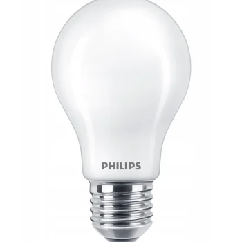 Discount Philips Lamp LED Peer Mat 100W E27