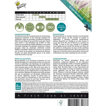 Hot Buzzy Lampenpoetsersgras