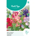 Best Horti Tops Lathyrus Colorama Mix