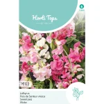 Best Horti Tops Lathyrus Mix