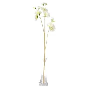 Hot Decoris Lathyrus Op Steel Wit 60 Cm