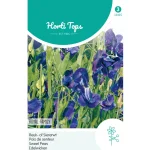 Hot Horti Tops Lathyrus Royal Blue