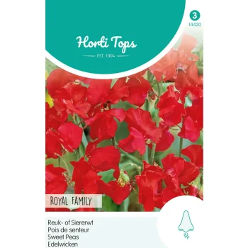 Outlet Horti Tops Lathyrus Royal Family Rood