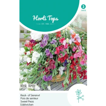 Outlet Horti Tops Lathyrus Royal Mix