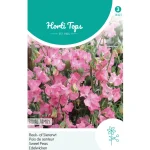 Clearance Horti Tops Lathyrus Royal Roze