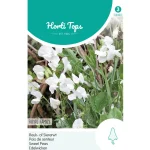 Outlet Horti Tops Lathyrus Royal White