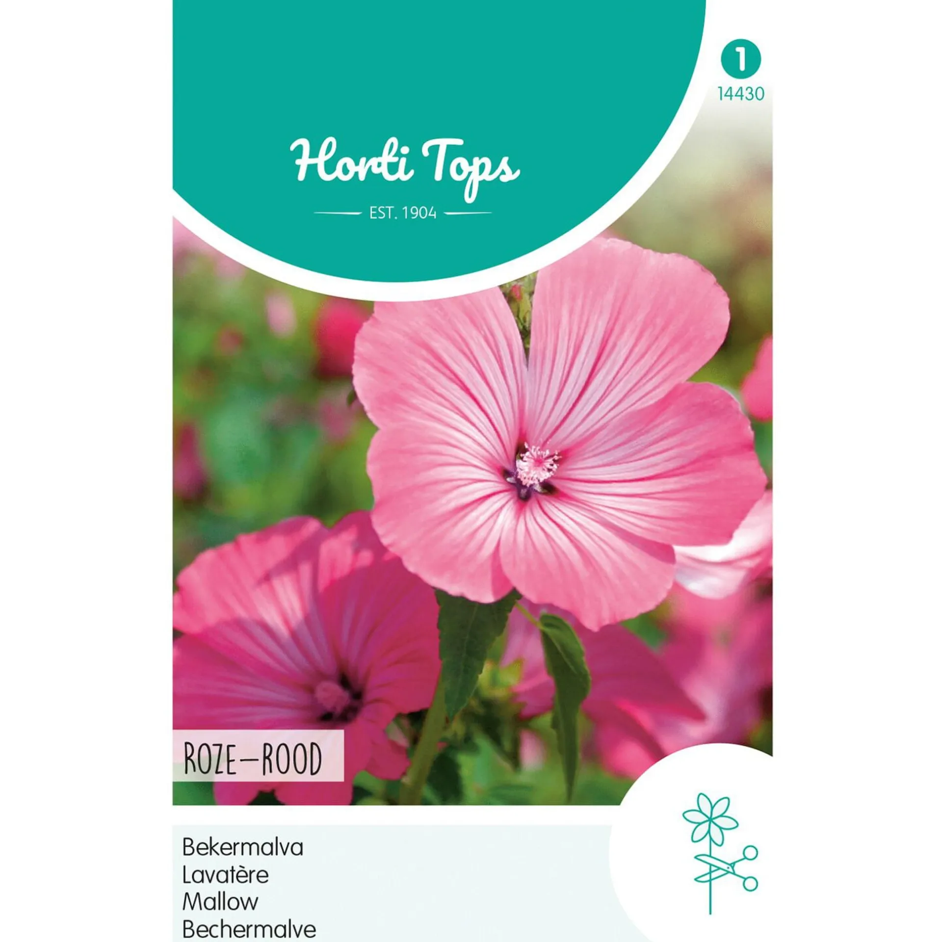 lavatera-rozerood-BRTbRoyi-0.webp Sale Horti Tops Lavatera Rozerood