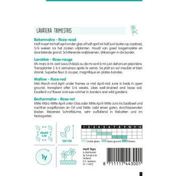 Sale Horti Tops Lavatera Rozerood