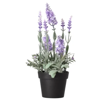 Best Decoris Lavendel In Pot 25 Cm 3 Assorti