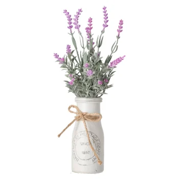 Sale Everlands Lavendel In Pot 32 Cm - 2 Assorti