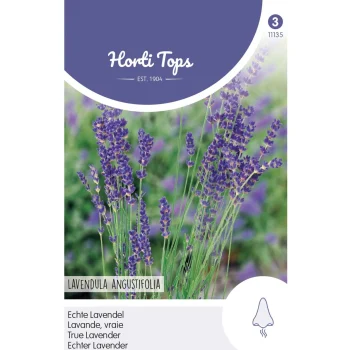 Outlet Horti Tops Lavendel Zaad