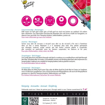 Clearance Buzzy Leeuwenmuiltje Red Dragon