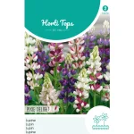 New Horti Tops Lupine Pixie Delight Mix