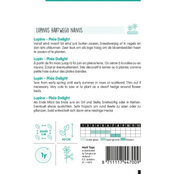 New Horti Tops Lupine Pixie Delight Mix