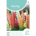 Best Horti Tops Lupinus Minarette Mix
