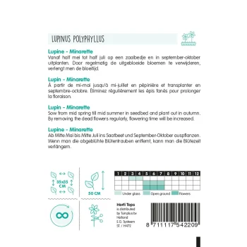Best Horti Tops Lupinus Minarette Mix