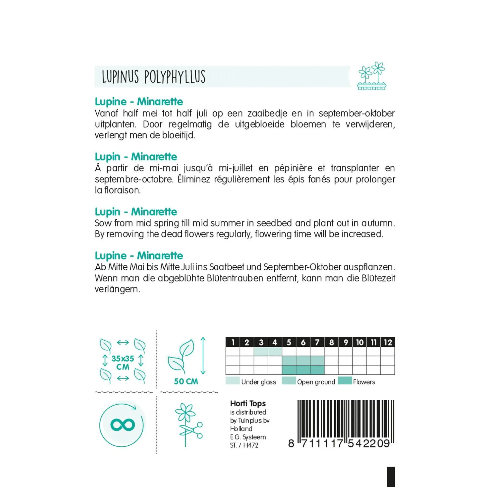 lupinus-minarette-mix-AALqVhXC-1.webp Best Horti Tops Lupinus Minarette Mix