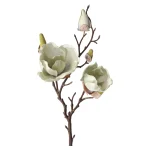 magnolia-enkel-55-cm-groen-QIBNnoHh-0.webp