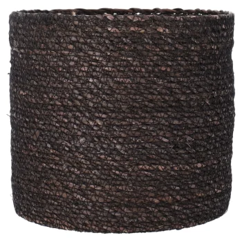 Online Natural Collections Mand Zeegras 19 Cm