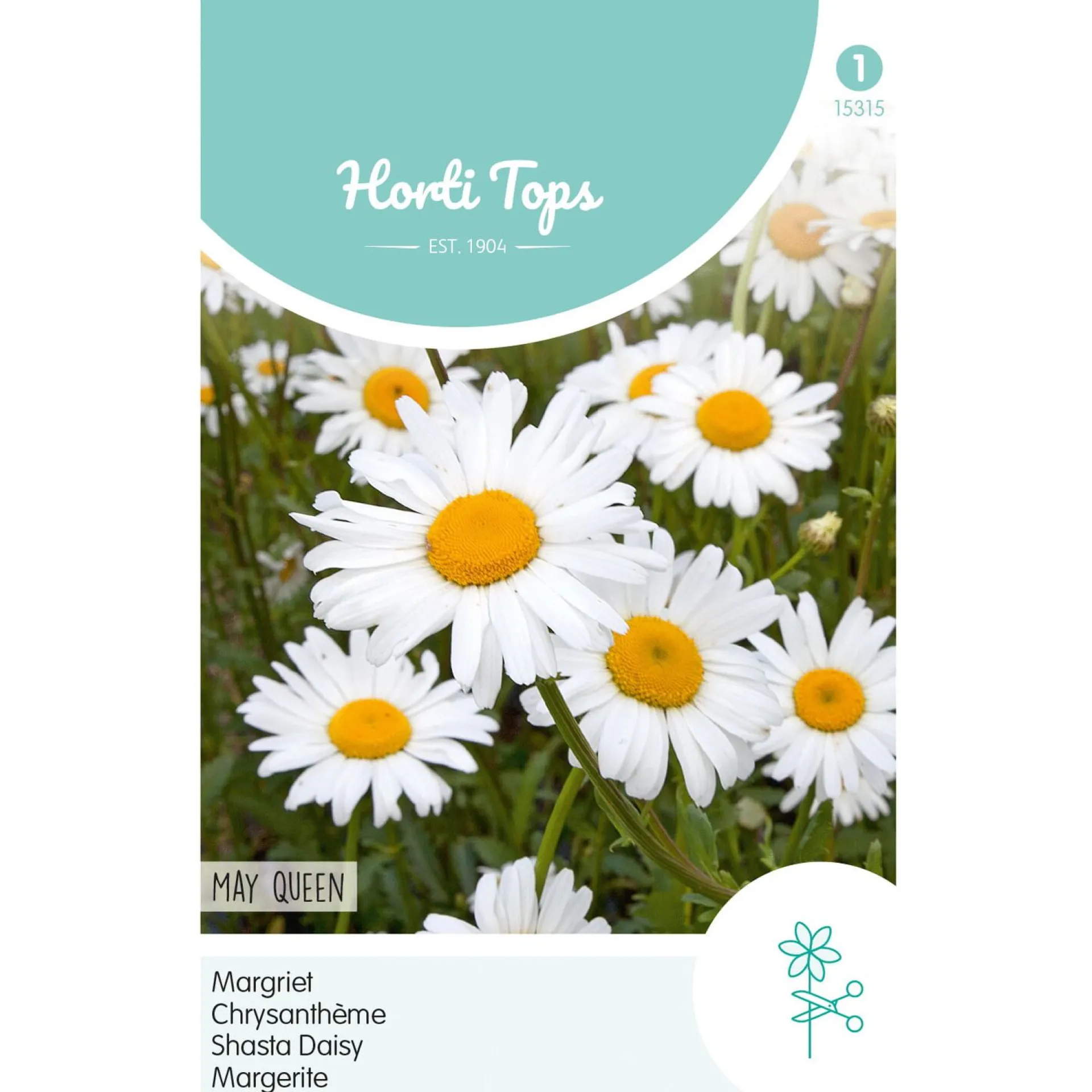 margriet-may-queen-bmpwlUbC-0.webp Online Horti Tops Margriet May Queen