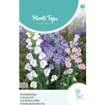 Sale Horti Tops Mariëtteklokje Enkelbloemig Mix