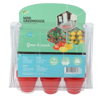Fashion Buzzy Mini Greenhouse Sweet Cherry Tomatoes 8