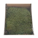 Clearance Natural Collections Mos Box Naturel 150g