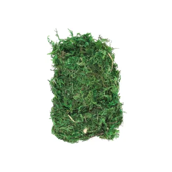Clearance O'malley Mos Groen 50G