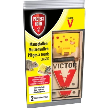 Best Protect Home Muizenval 2st.